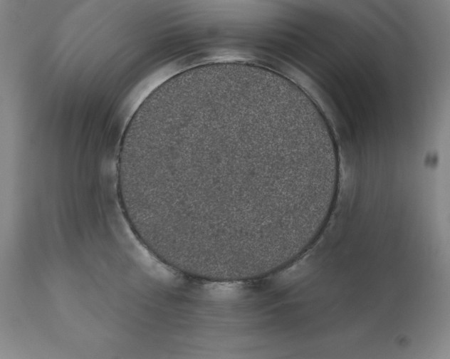 X0000110700810200907021956