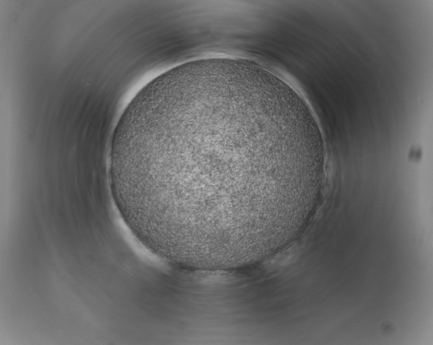 X0000110700811200907021956