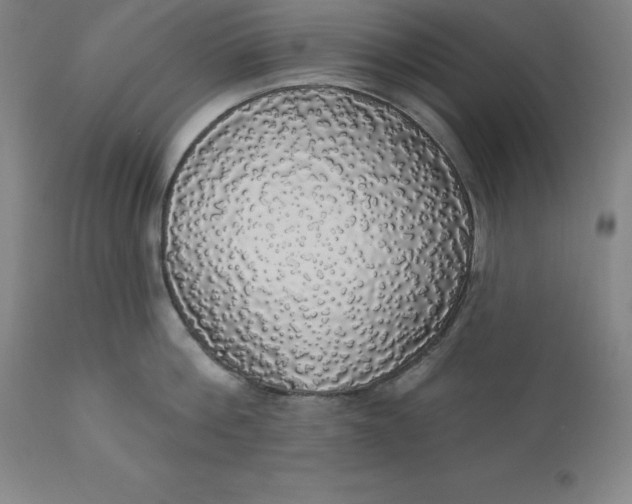 X0000110700812200907021956