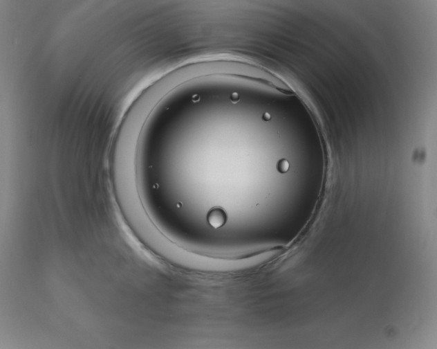 X0000110700813200907021956