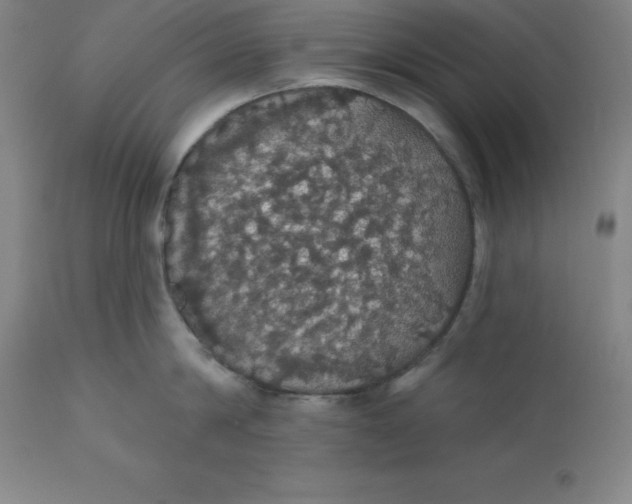 X0000110700814200907021956