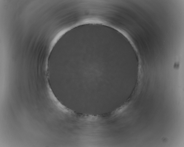 X0000110700815200907021956