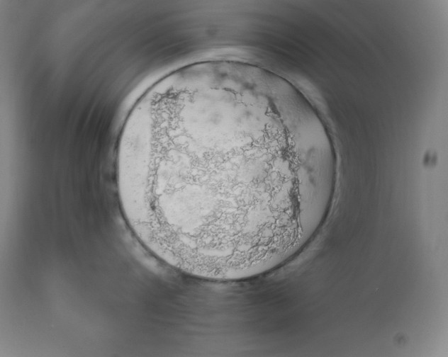 X0000110700816200907021956