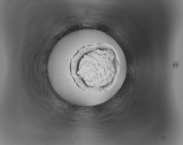 X0000110700817200907021955