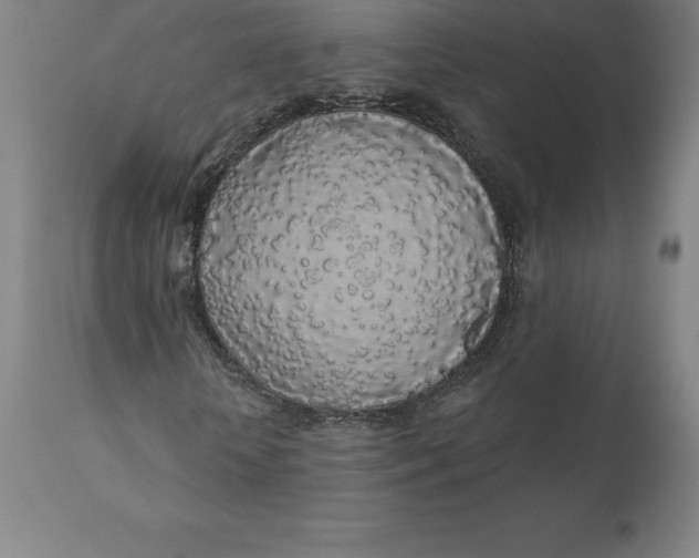 X0000110700818200907021955