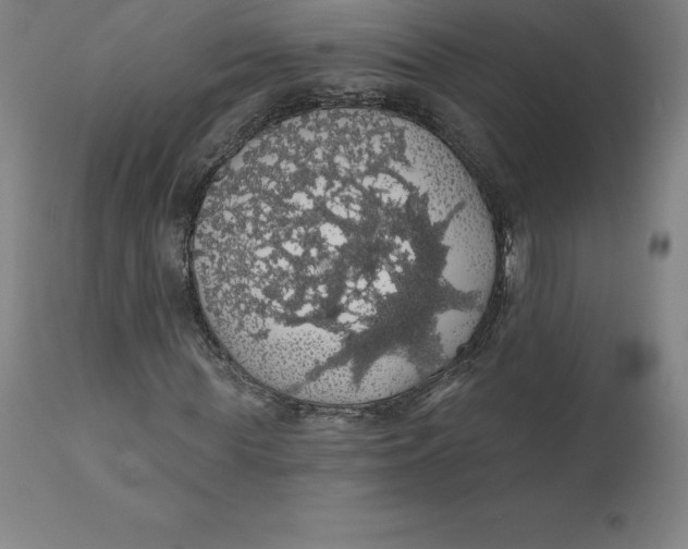 X0000110700819200907021955