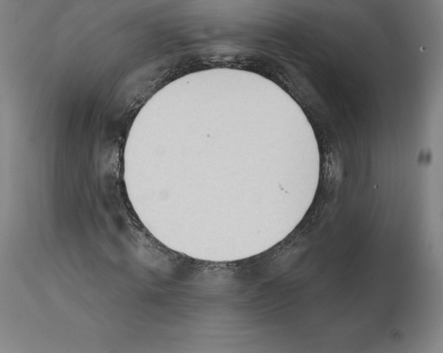 X0000110700820200907021955