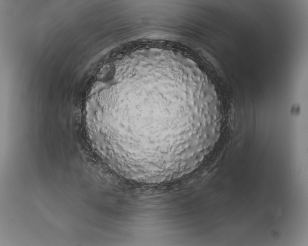 X0000110700821200907021955