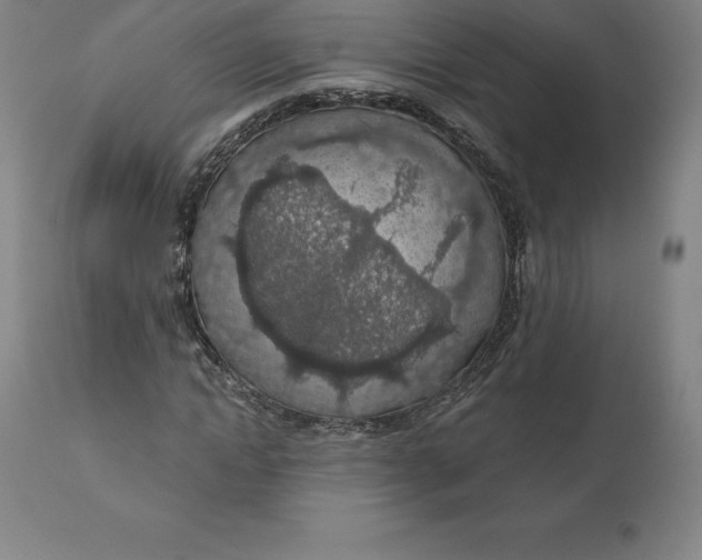 X0000110700822200907021955