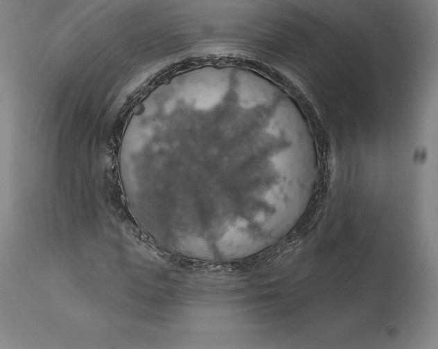 X0000110700823200907021955