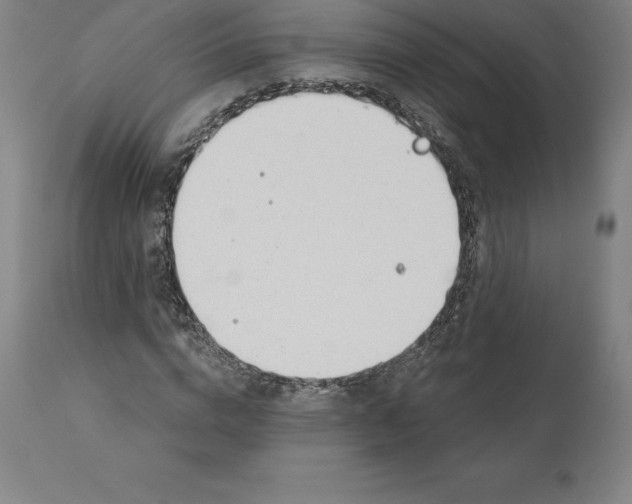 X0000110700824200907021955