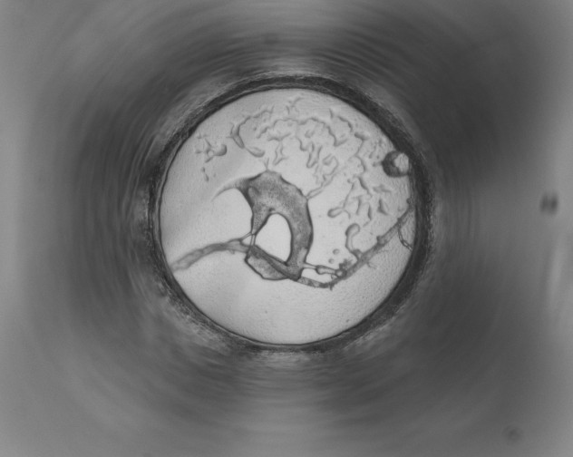 X0000110700825200907021955