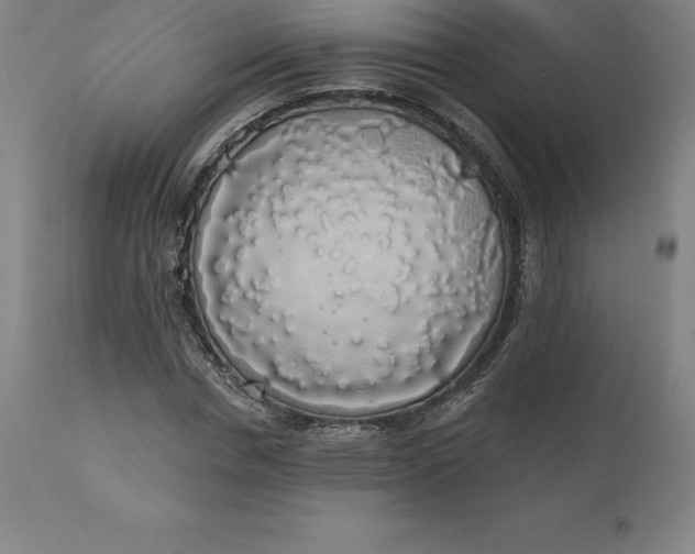 X0000110700826200907021955