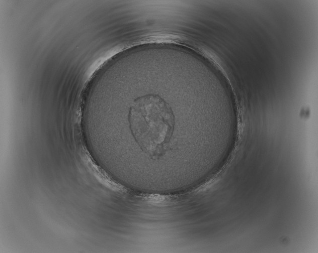 X0000110700827200907021955