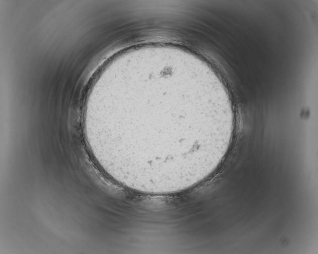 X0000110700828200907021955