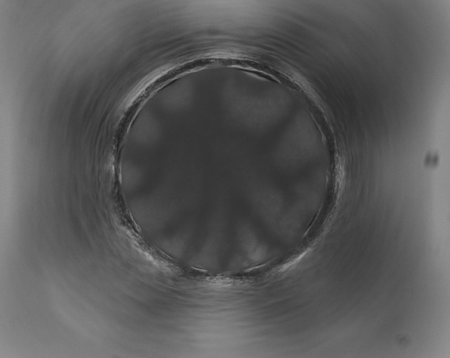 X0000110700829200907021955