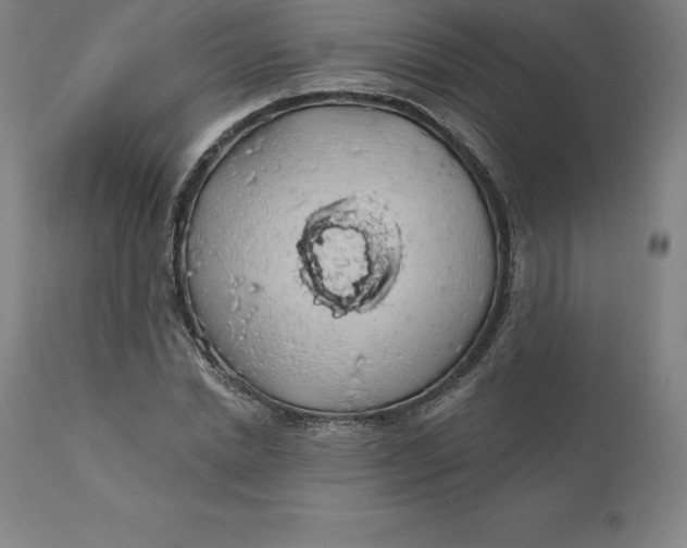 X0000110700830200907021955