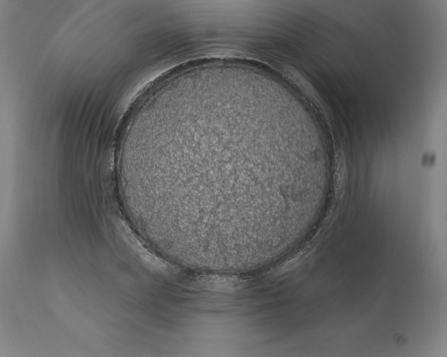 X0000110700831200907021955