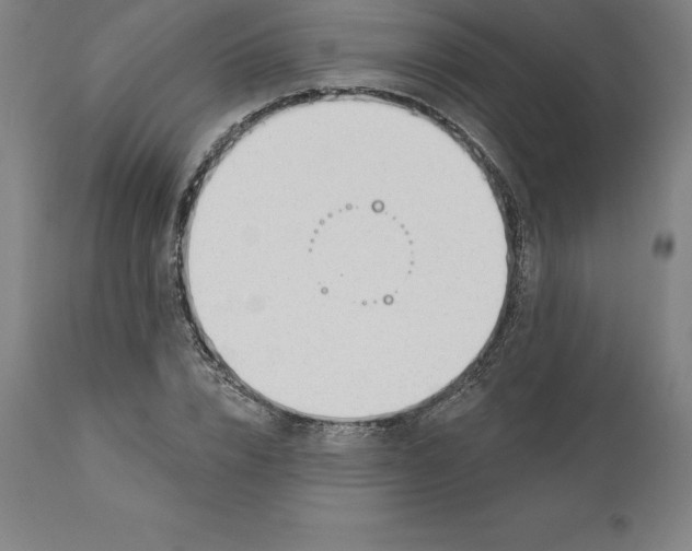 X0000110700832200907021955