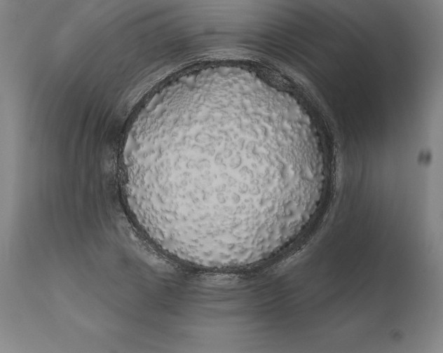 X0000110700833200907021955