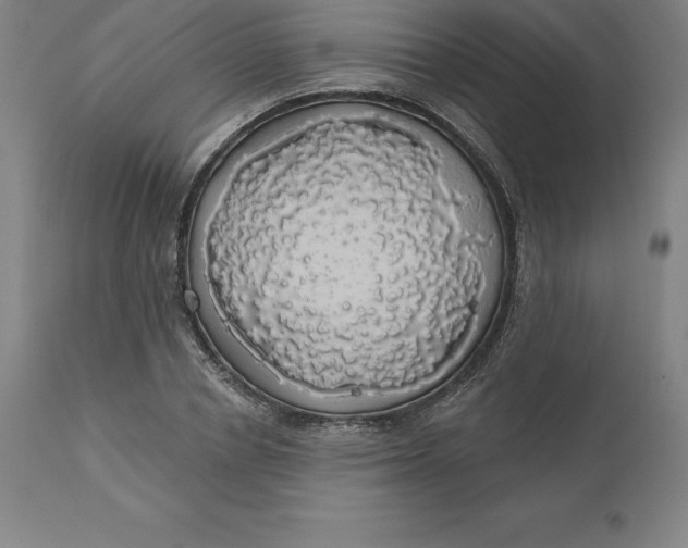 X0000110700834200907021955