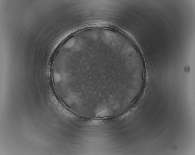 X0000110700835200907021955