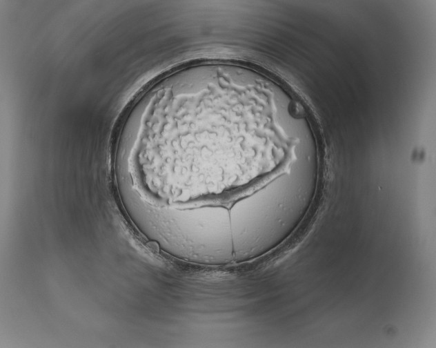 X0000110700837200907021955