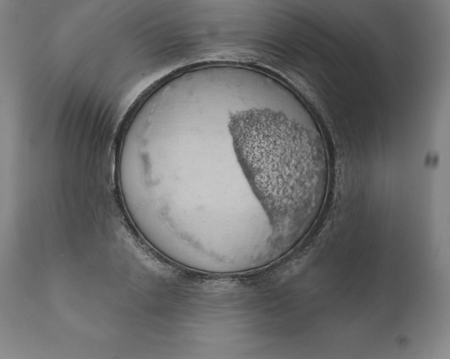 X0000110700838200907021955