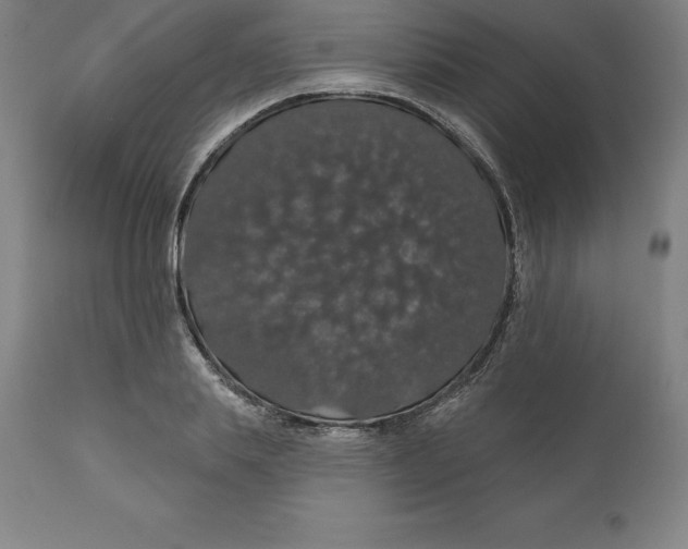 X0000110700839200907021955