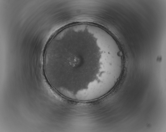 X0000110700840200907021955