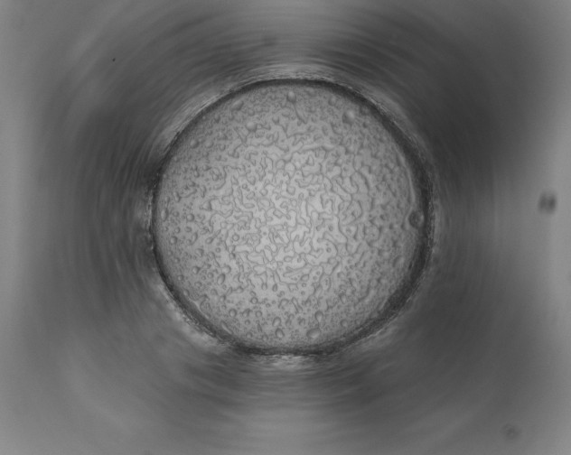 X0000110700841200907021955