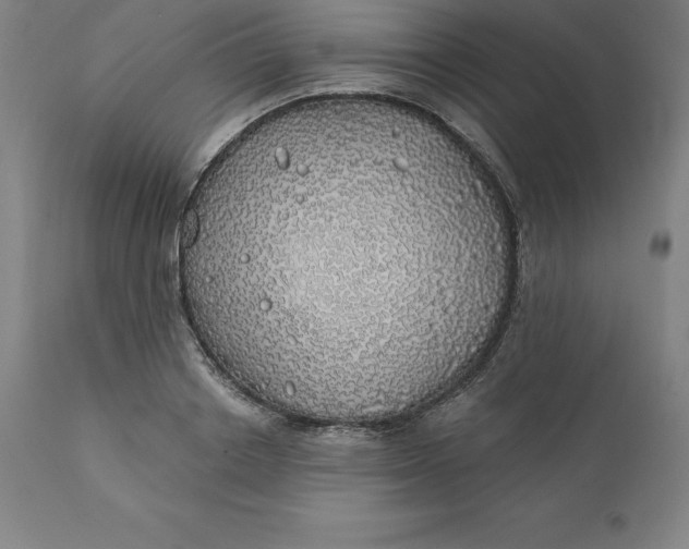 X0000110700842200907021955