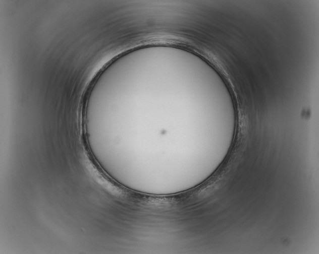 X0000110700843200907021955