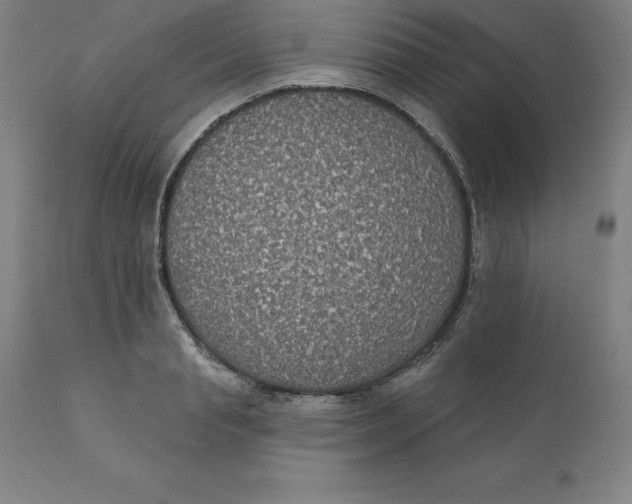 X0000110700845200907021955