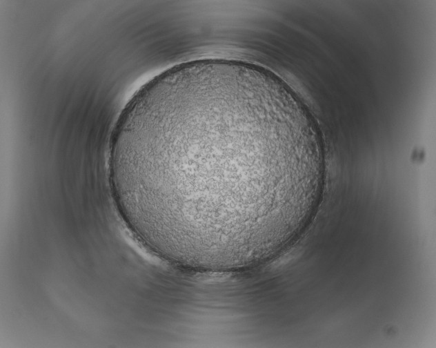 X0000110700846200907021955