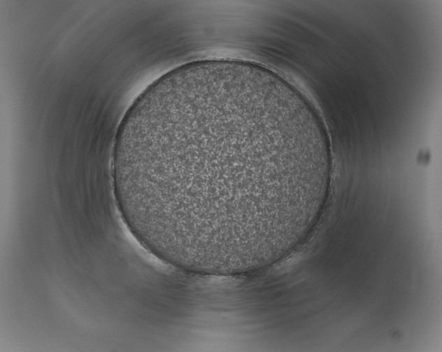 X0000110700847200907021955