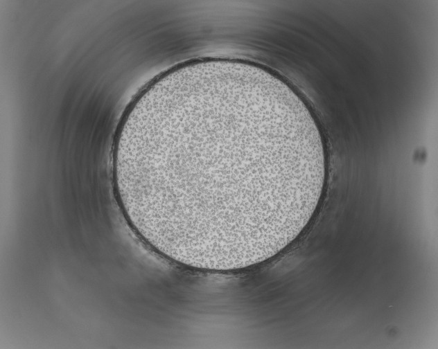 X0000110700848200907021955