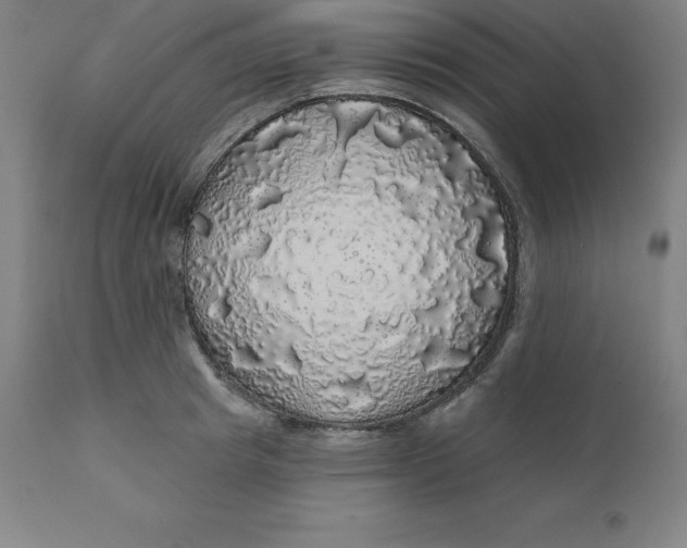 X0000110700849200907021956