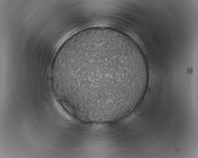 X0000110700850200907021956