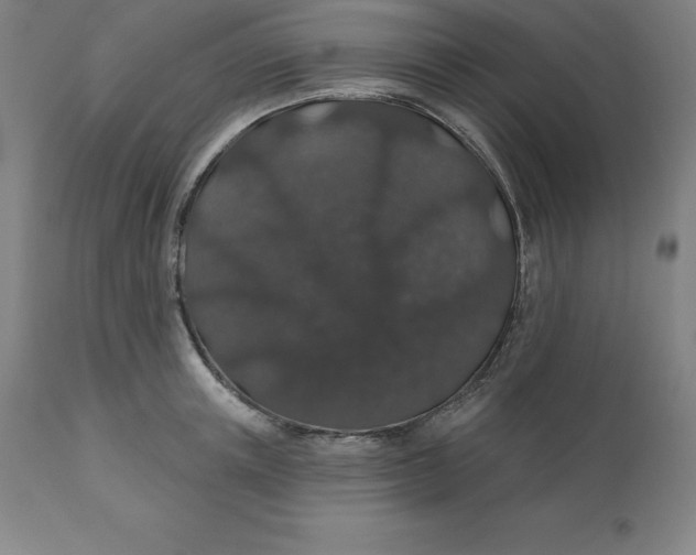 X0000110700851200907021956