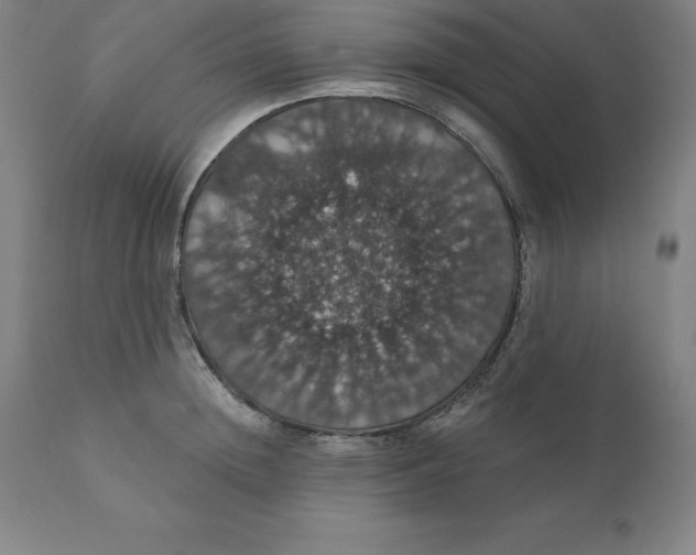 X0000110700852200907021956