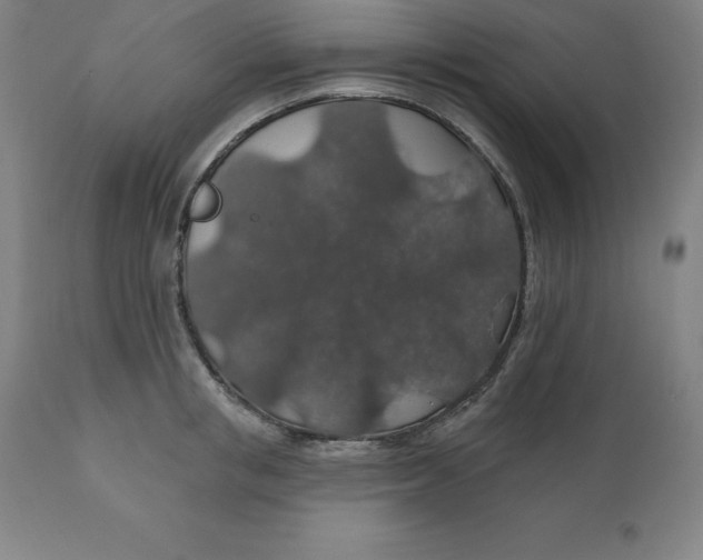 X0000110700853200907021956