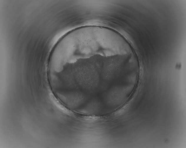 X0000110700854200907021956