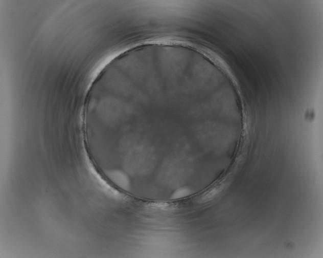 X0000110700855200907021956