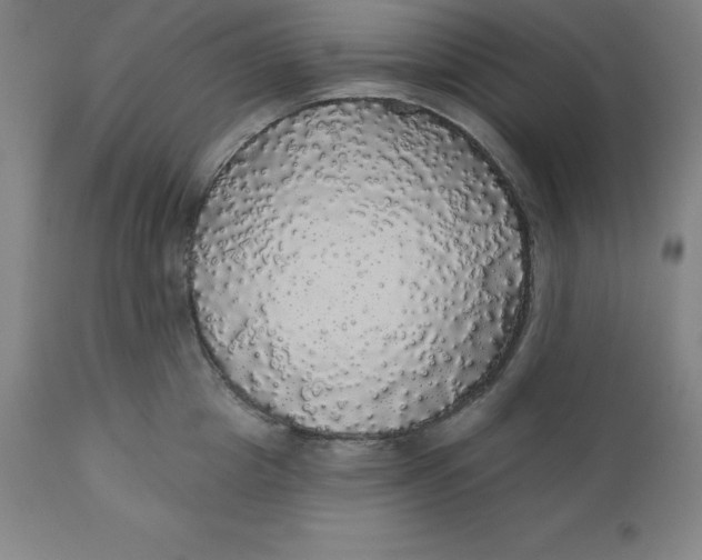 X0000110700857200907021956