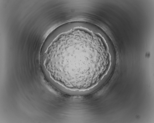 X0000110700858200907021956