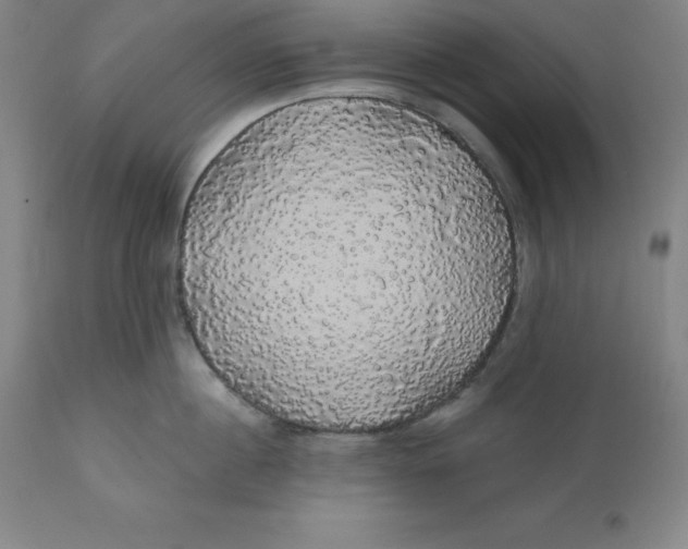 X0000110700860200907021956