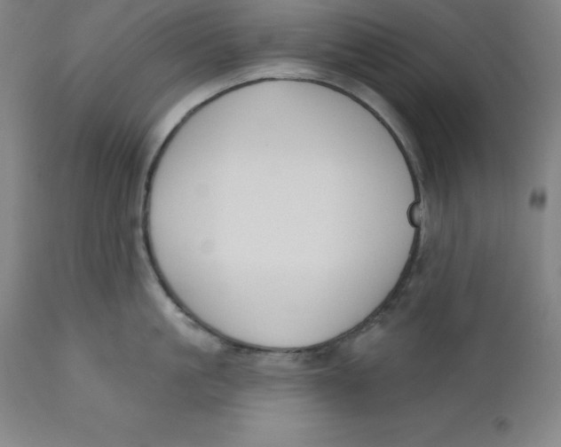 X0000110700861200907021956