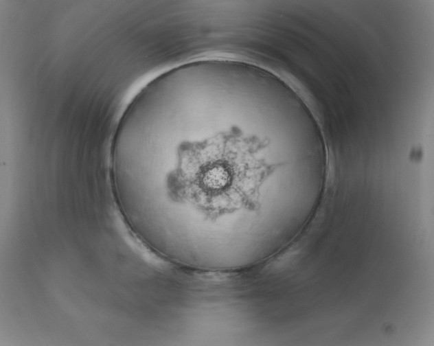 X0000110700862200907021956