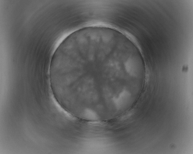 X0000110700863200907021956